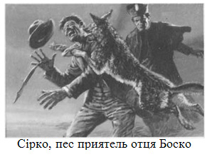 ����� �����. �������� �����