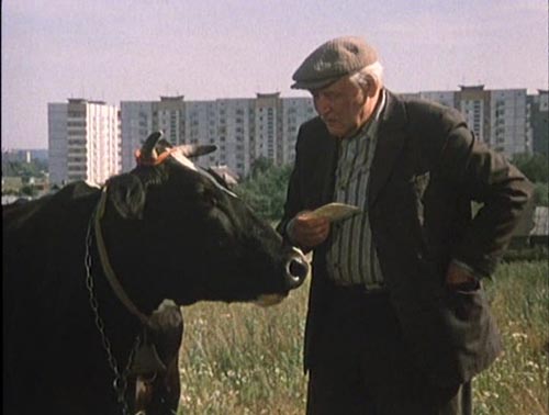 ����� ����