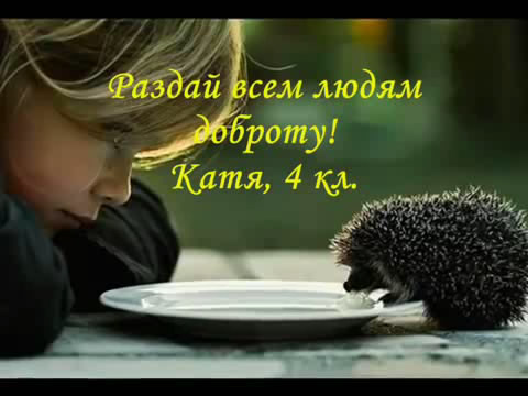 ���� ����� ����