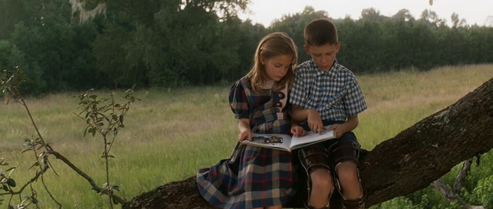 ������� ����