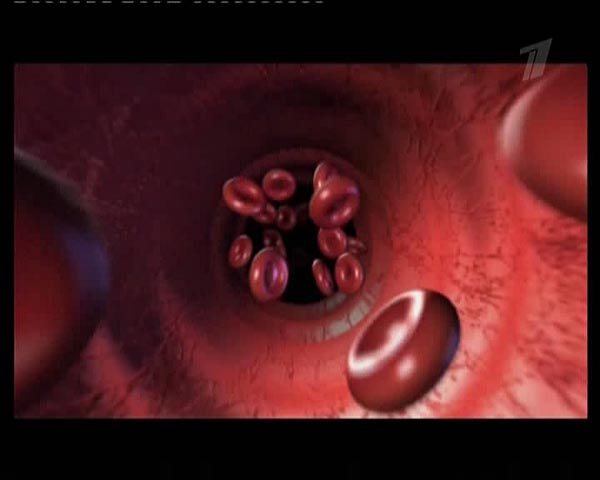 ��������� - ���! ������ � ���������. ������� ����������.