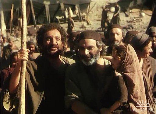 ���������� ��������: ������