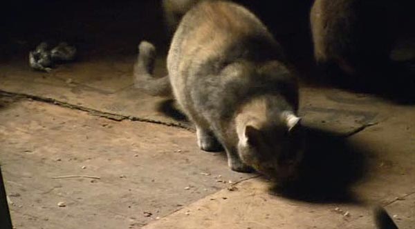 ������� ������