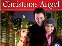 ����� ���������