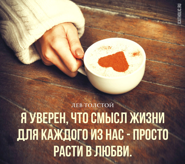 ������������ ������