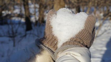 ��� ���� ��������