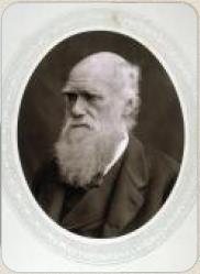 �� ������������ �� ����� ����� ������ � �����?