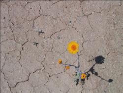 �� � � ��������� ��� �����������, ��������?